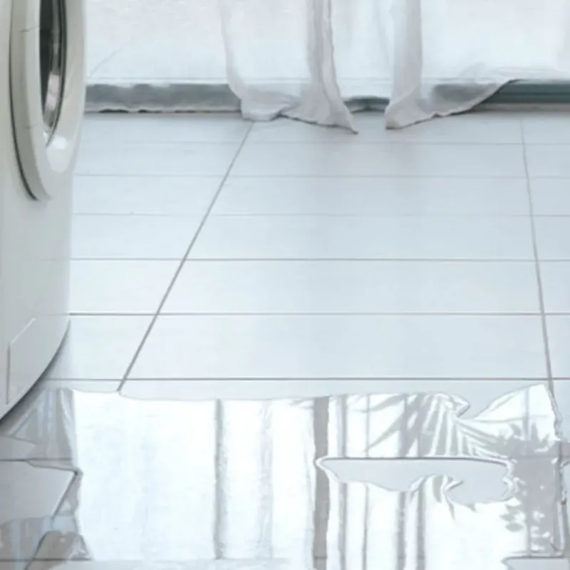 Appliance Leak Cleanup in East Pensacola Heights, FL