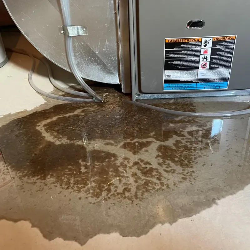 Pipe Burst and Leak Restoration in East Pensacola Heights, FL